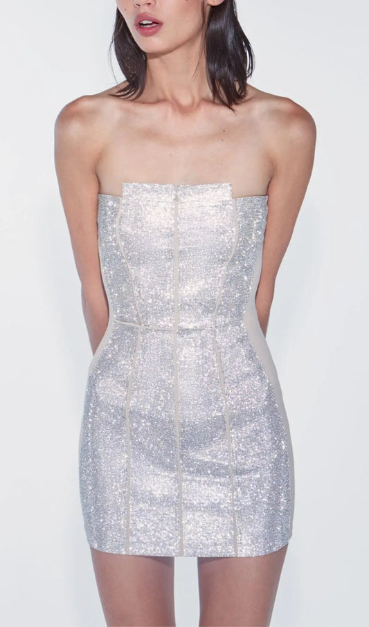 Silver Bandeau Rhinestone Trimming Dress Rose Lee Dress